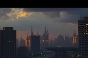 自然纪录片《北纬四十三度》封面，晨光下的针叶林与薄雾